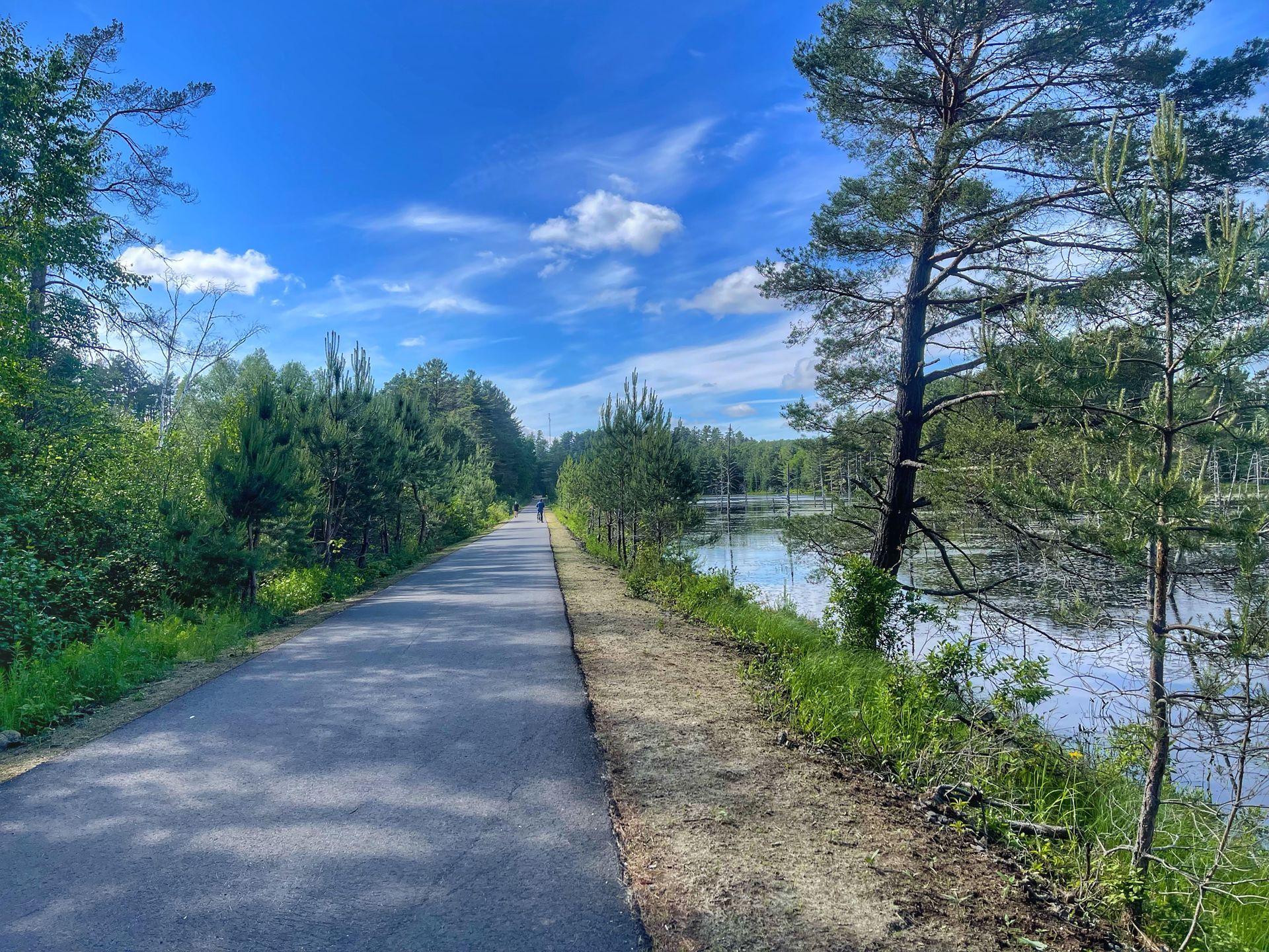 View of the Adirondack Rail Trail and surrounding nature 