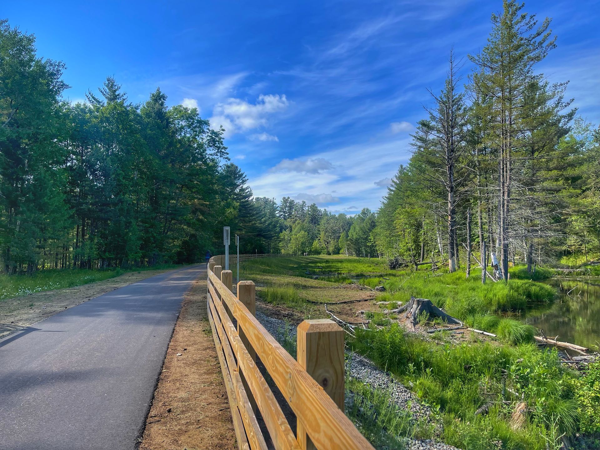 View of trees on the Adirondack Rail Trail