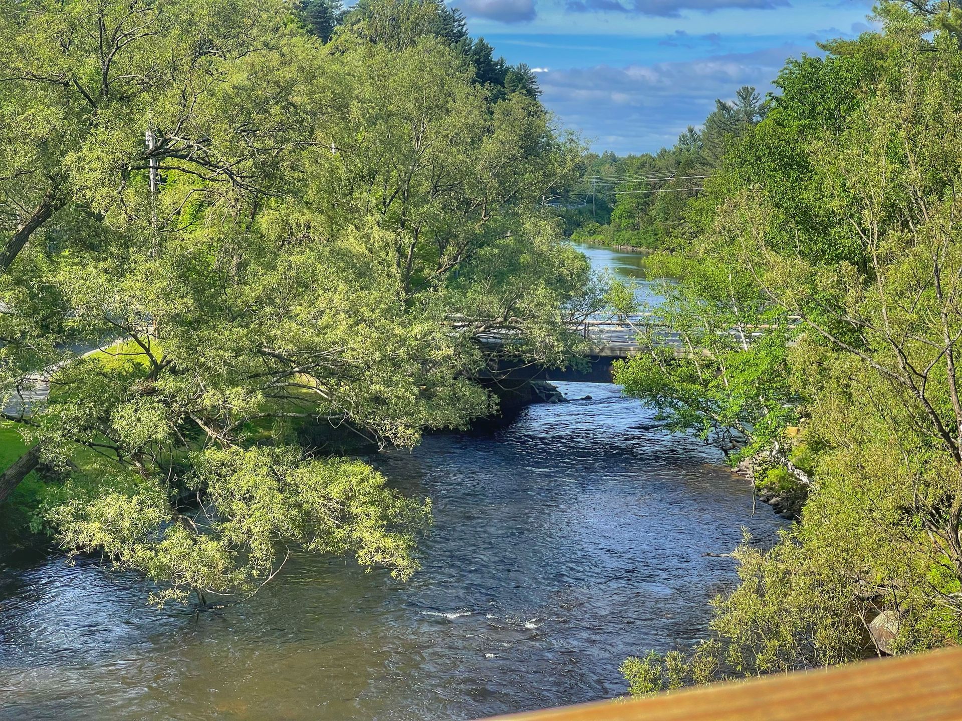 View of bridge and river along the Adirondack Rail Trail