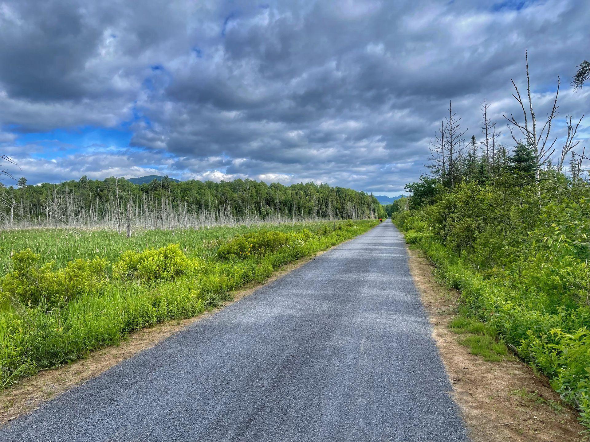 View of the Adirondack Rail Trail toward Lake Placid