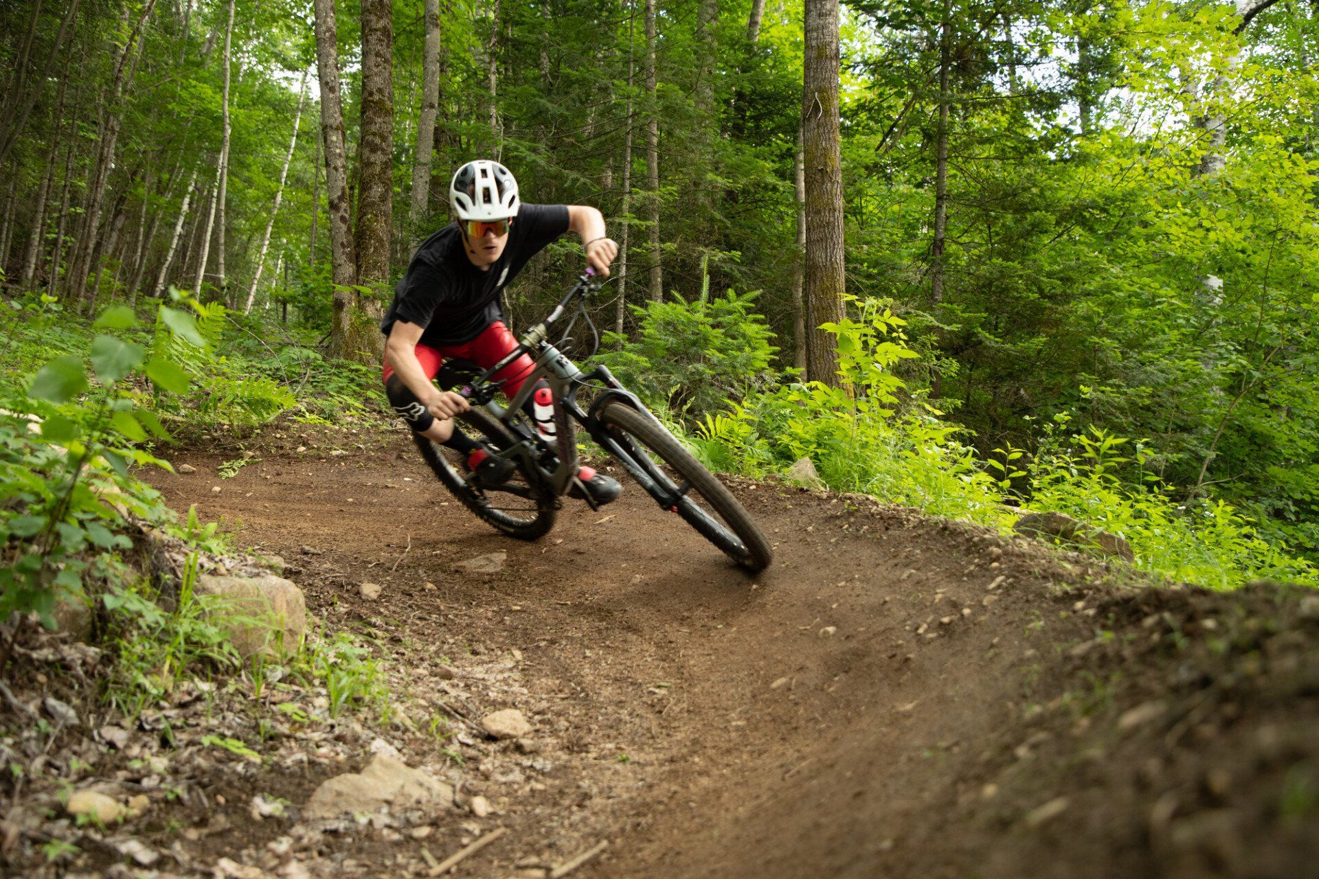Mountain Biker