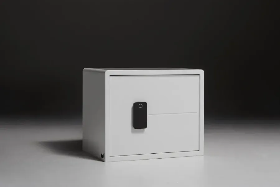 Biocube Plus fingerprint access home safe option