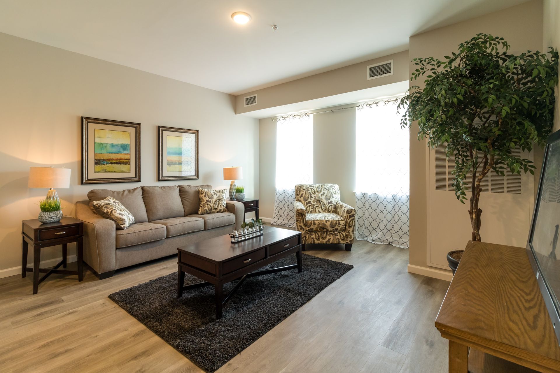 Cozy living room with beige walls, brown sofa, patterned armchair, dark rug, and large faux tree.