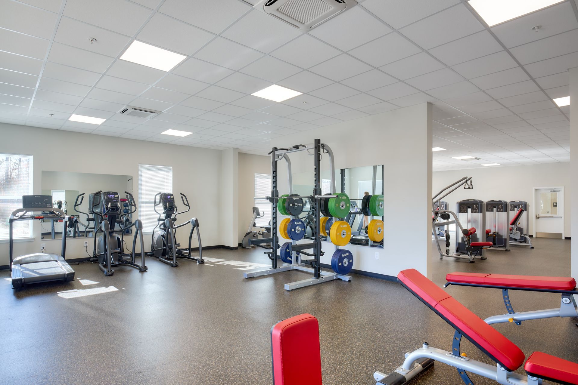 A bright gym with exercise equipment: treadmills, weights, and weight machines, and a red bench.