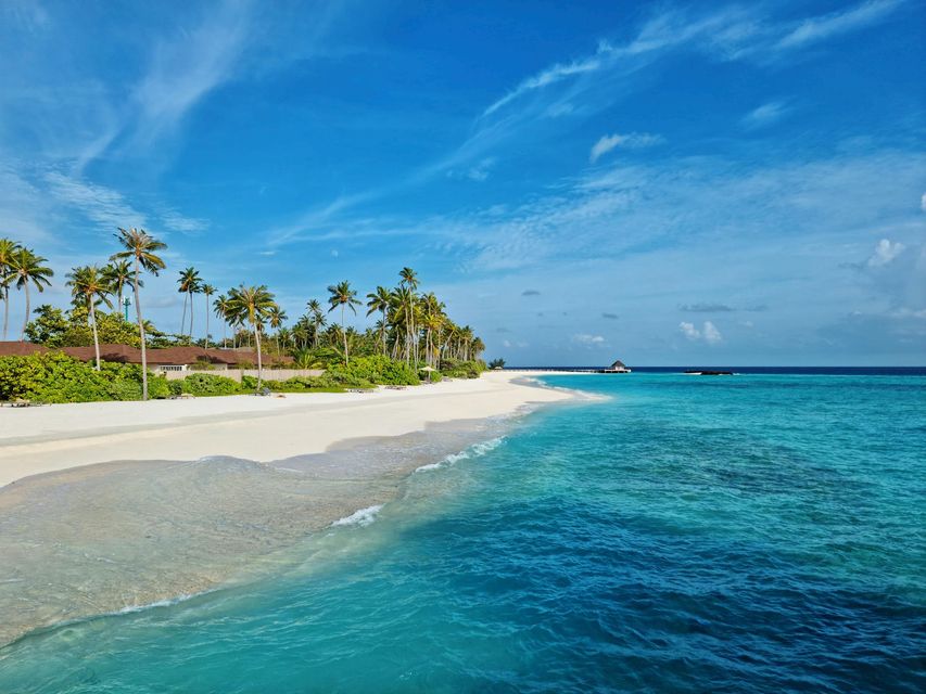 Spiaggia tropicale con sabbia bianca, acqua turchese, palme e un cielo azzurro brillante.