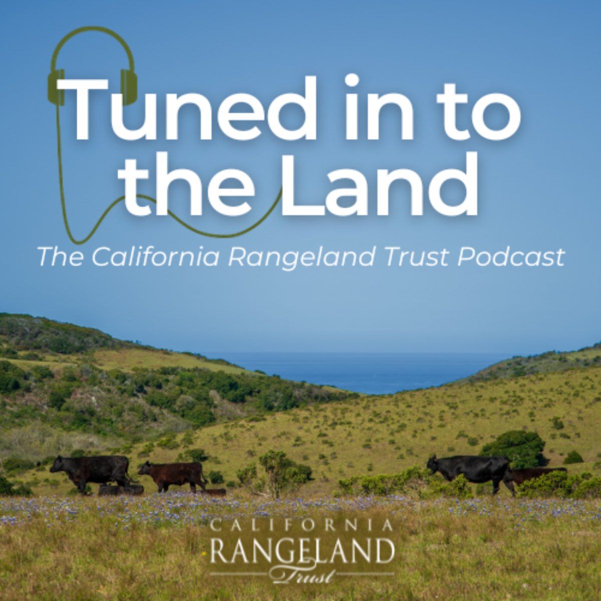 A california rangeland trust podcast called tuned in to the land