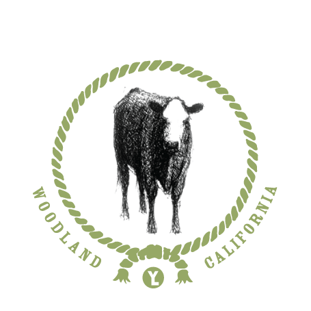Yolo Land And Cattle Grass-Fed Beef For Sale