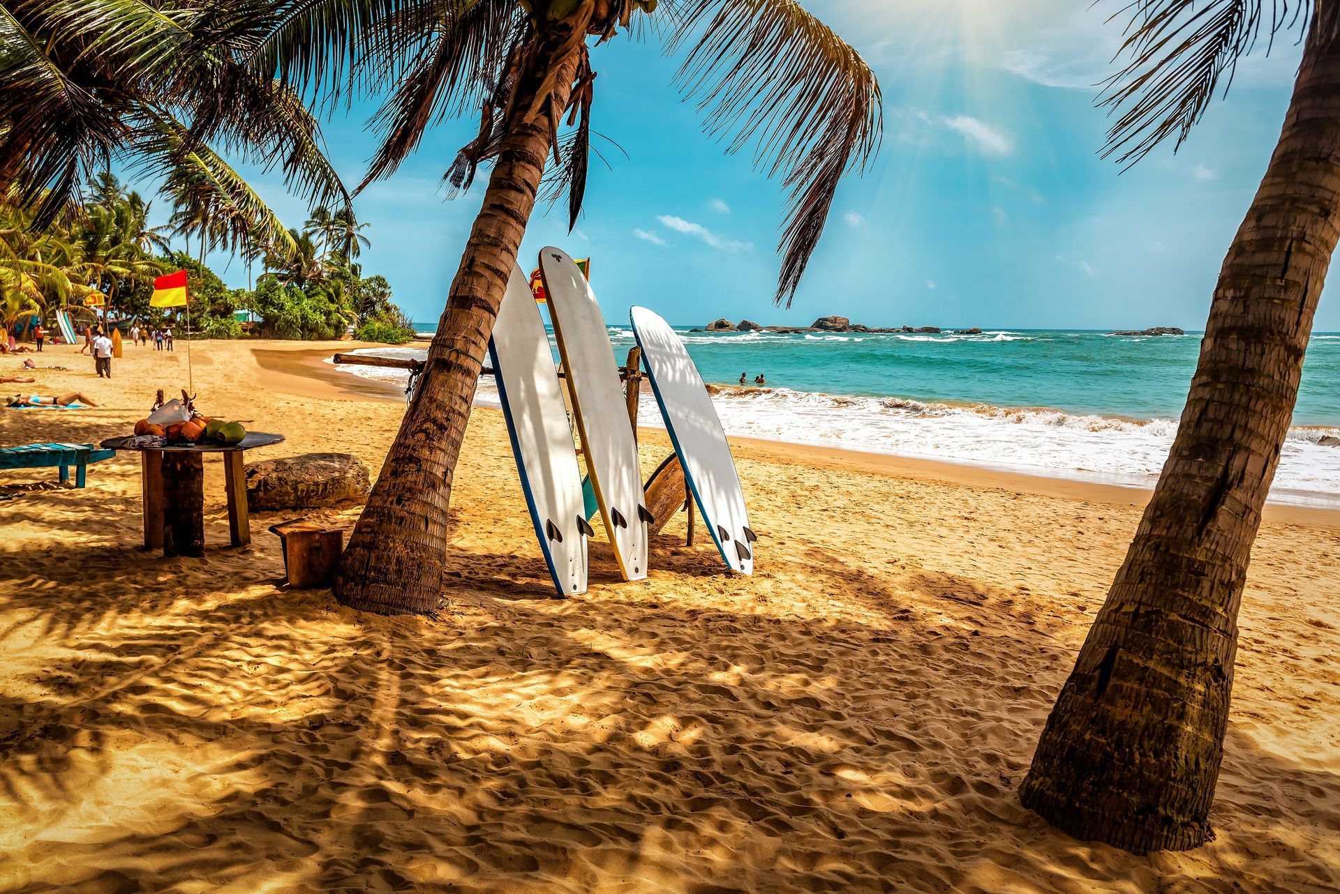 Palm-lined beach with surfboards leaning in the sand beside the ocean under a blue sky.