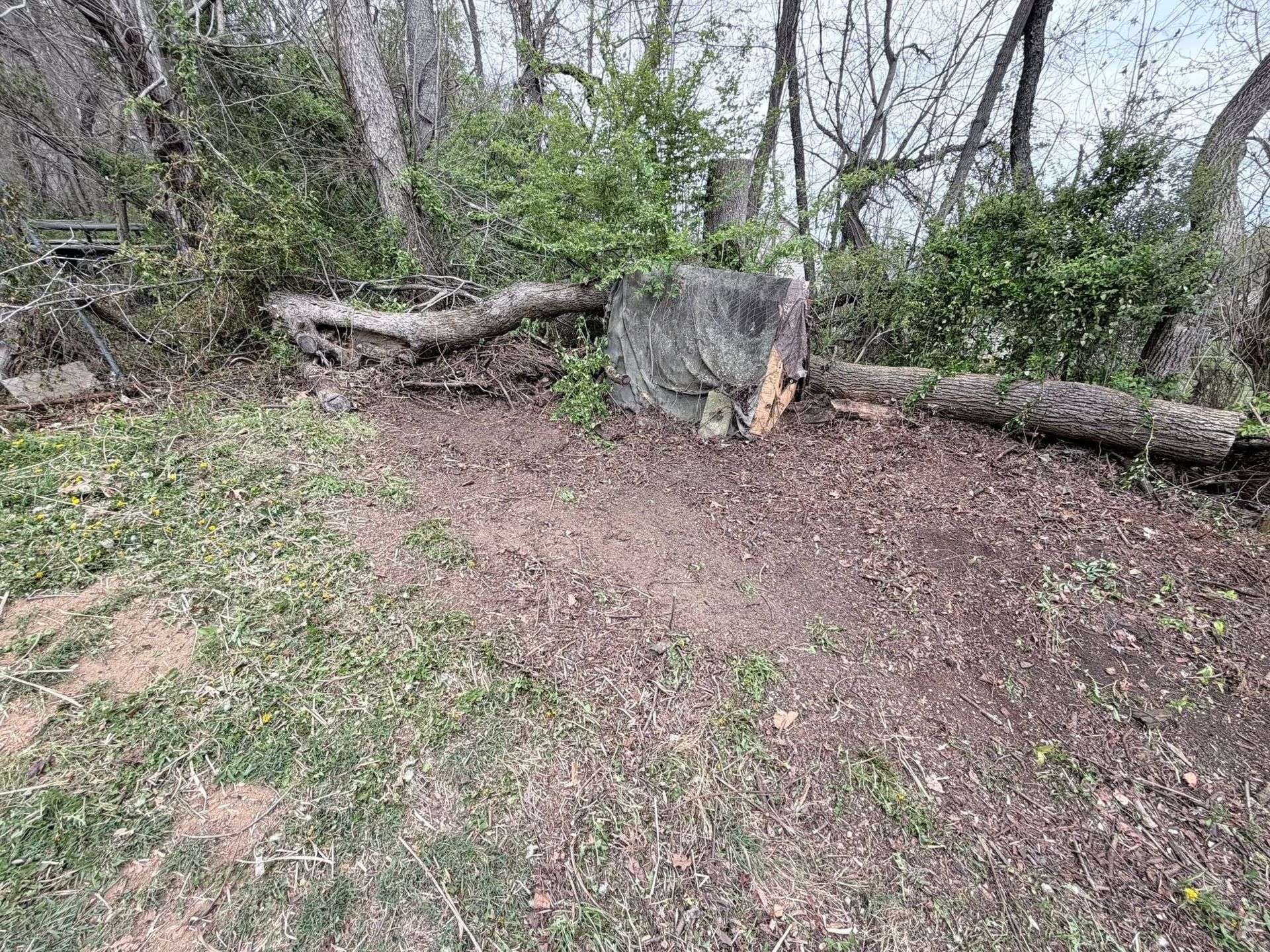 Cleared dirt area bordered by fallen logs and trees in a wooded outdoor setting