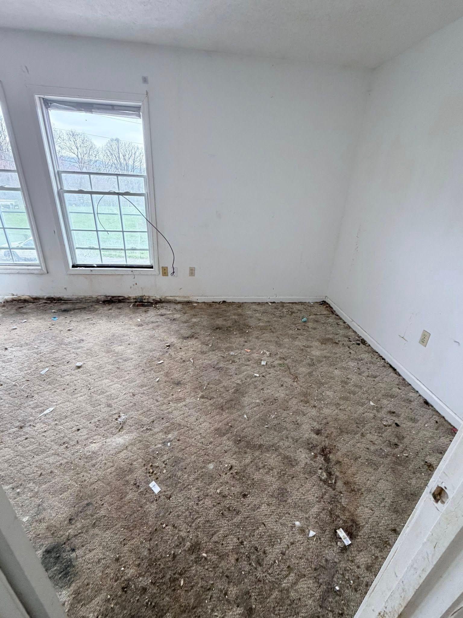 Empty white room with stained carpet and two windows letting in daylight