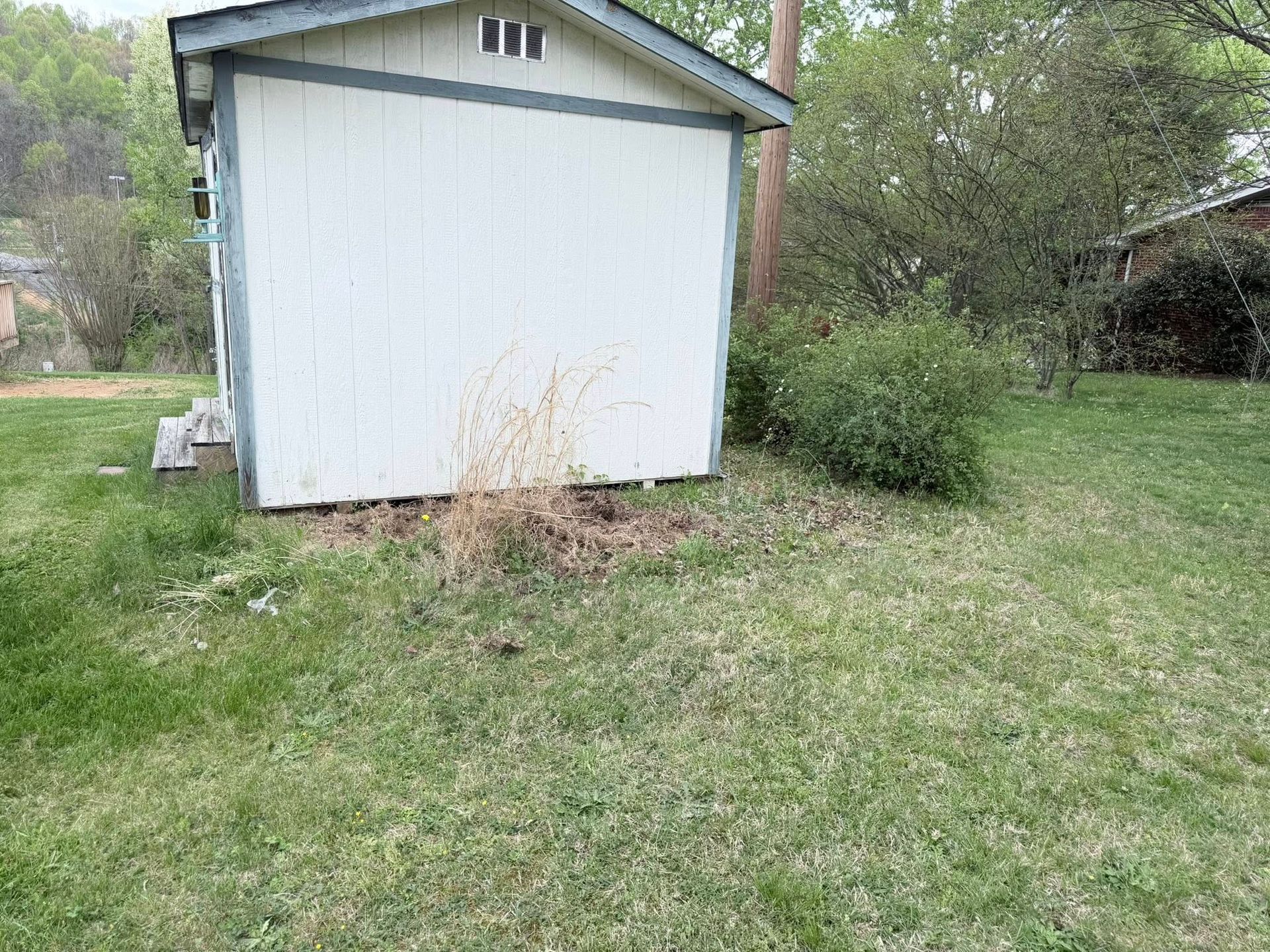 White shed in a grassy yard with bushes and trees nearby