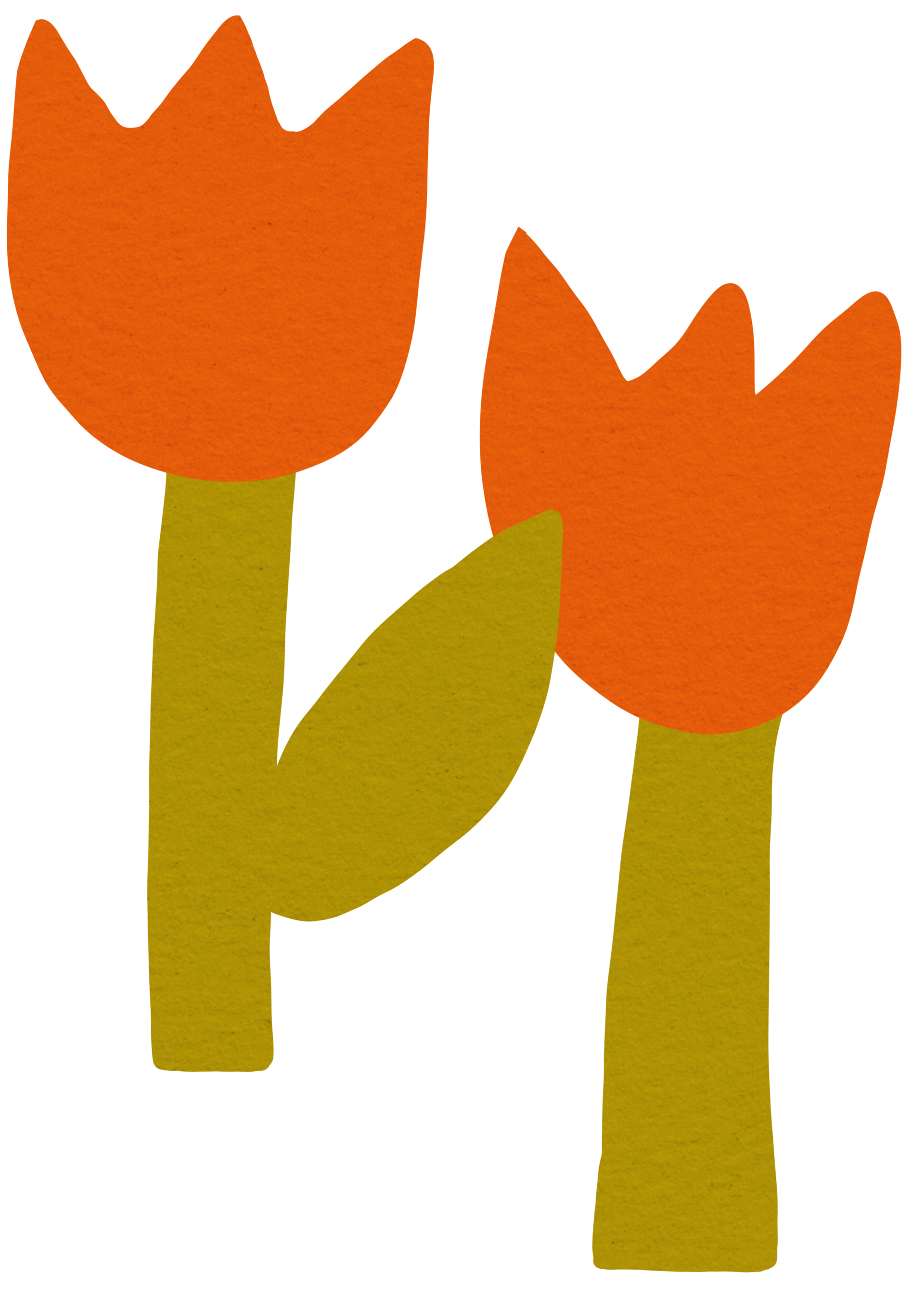 Cut collage graphic of tulips (decorative)
