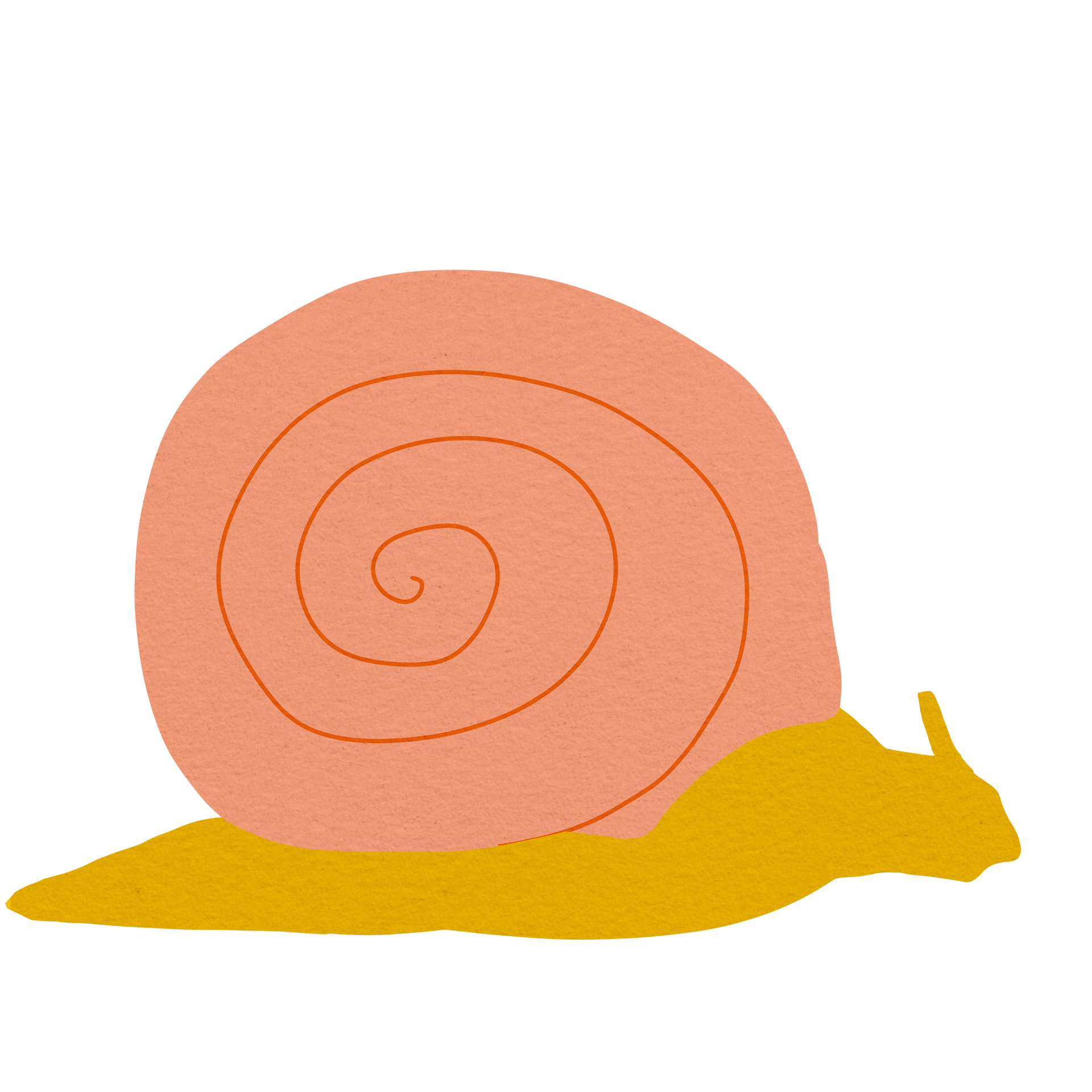 hand-drawn snail icon in the style of cut paper (decorative)