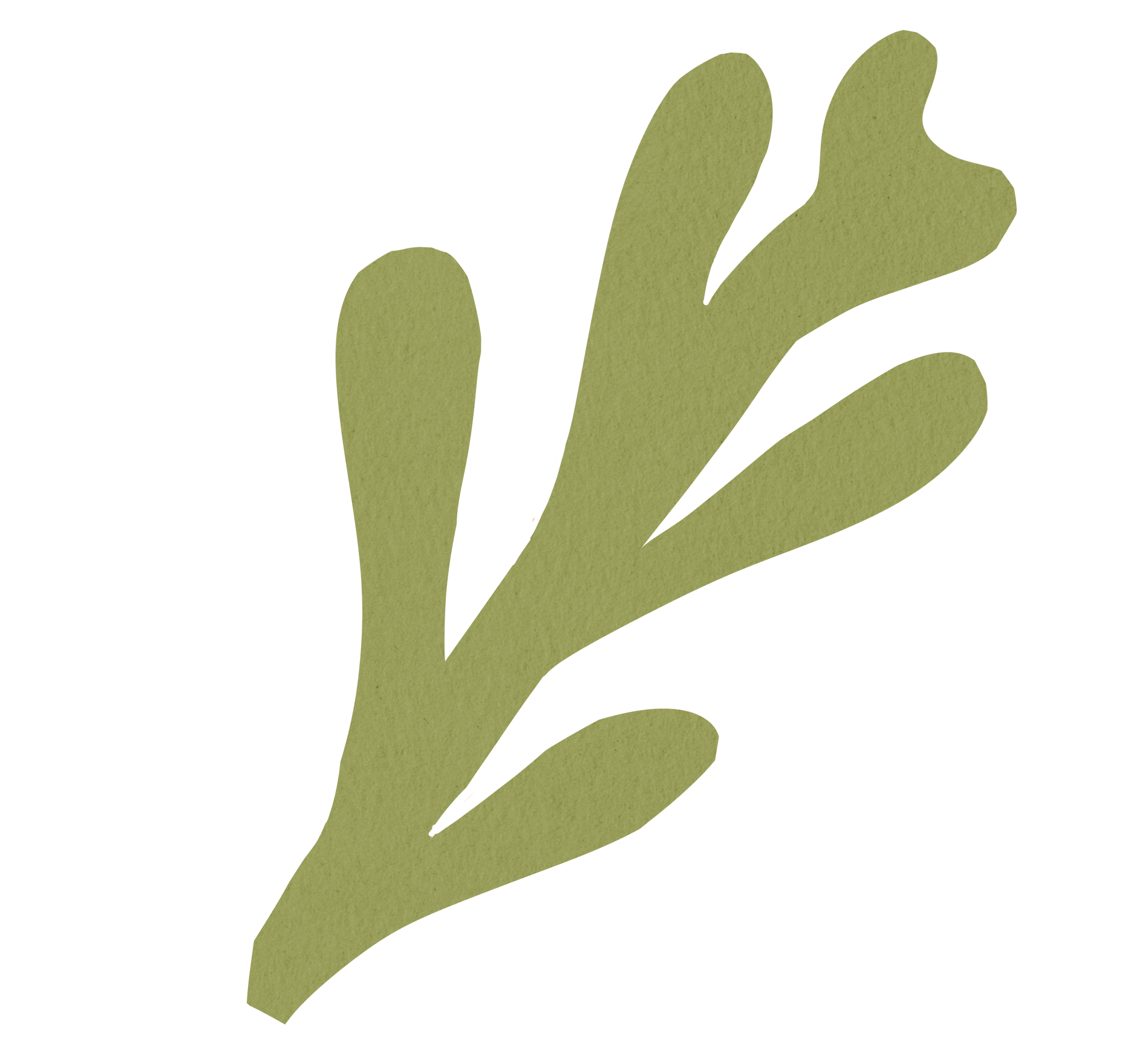 Decorative
