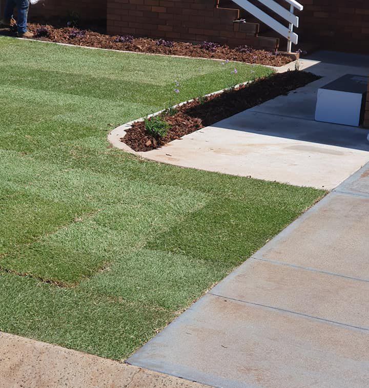 Lawn Installation — Toowoomba, QLD — Col Finlay Earthmoving and Landscaping Lawn Installation — Toowoomba, QLD — Col Finlay Earthmoving and Landscaping