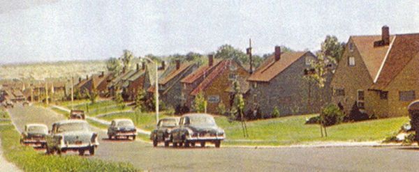 Vintage cars driving on a suburban street lined with houses on a sunny day