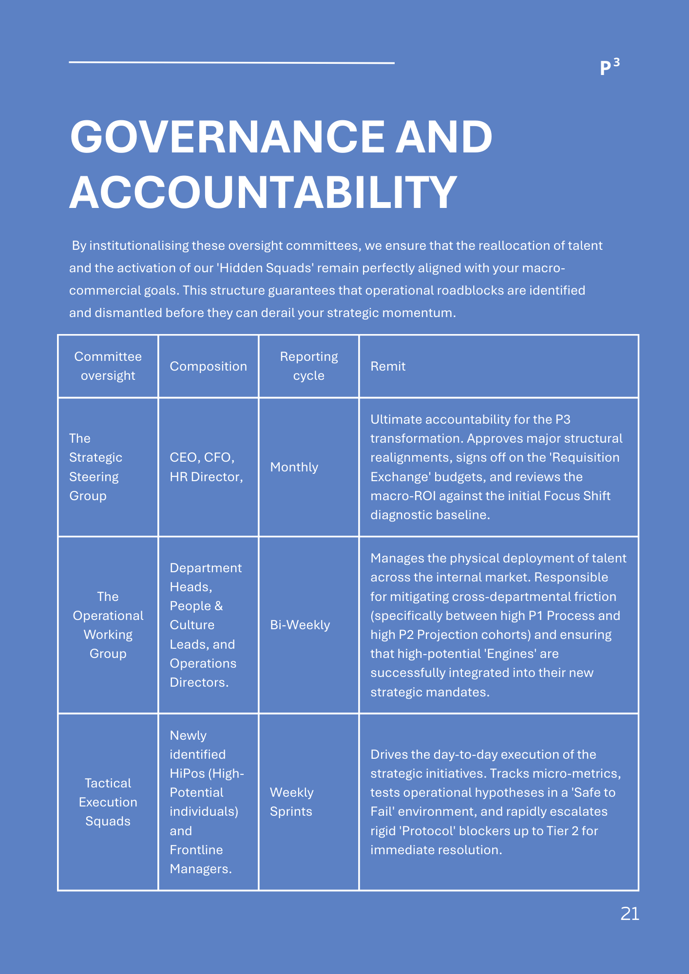 A blue table outlining the Governance and Accountability structure, including committees, leads, and their roles.
