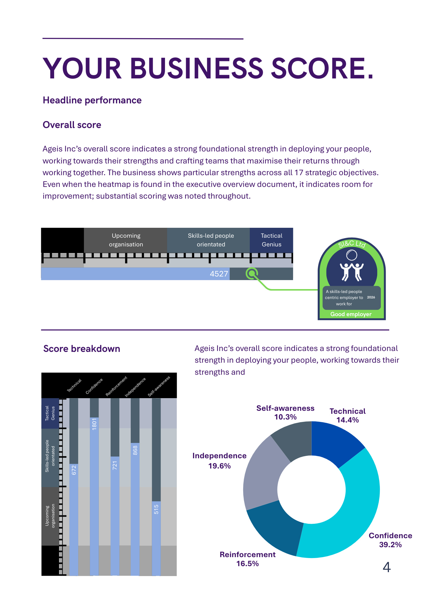 Business performance report showing an overall score of 60%, with sub-category bar charts and a 5-part results donut chart.