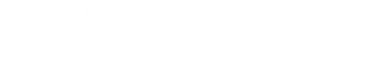 Logo Footer