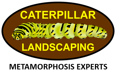 Landscape Designer in Orlando, FL | Caterpillar Landscaping, LLC Landscape Designer in Orlando, FL | Caterpillar Landscaping, LLC