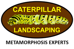 Landscape Designer in Orlando, FL | Caterpillar Landscaping, LLC Landscape Designer in Orlando, FL | Caterpillar Landscaping, LLC