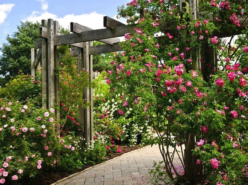 Landscape Design in Orlando, FL Landscape Design in Orlando, FL