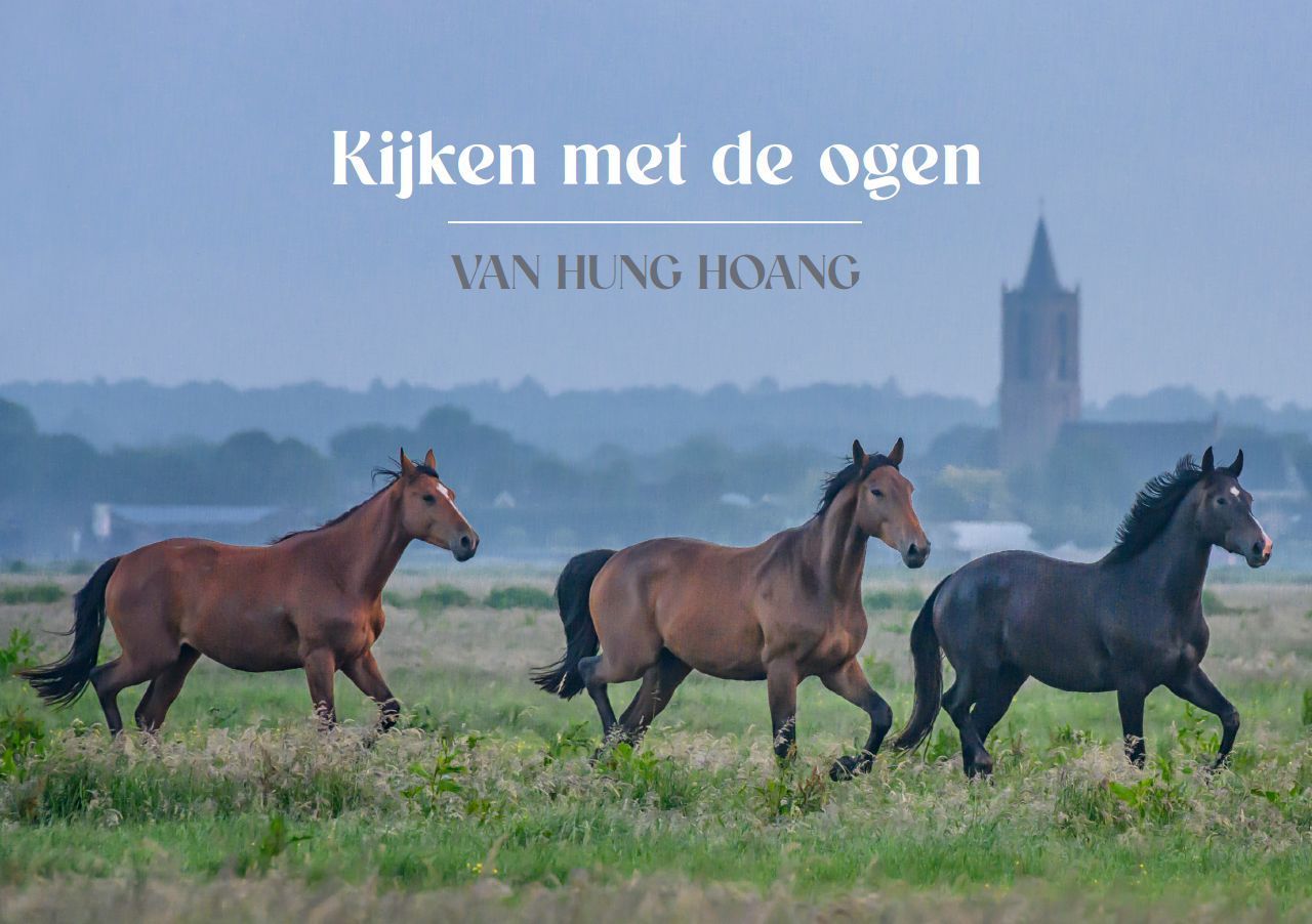 Kijken met de ogen van Hung Hoang
