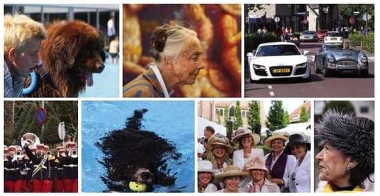 Oog op Laren
