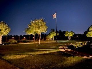 Illuminated trees stand in a grassy yard at night, with a flag flying on a pole under a dark blue sky.