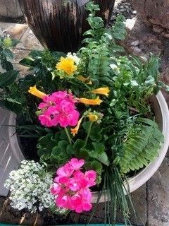 A large round planter filled with vibrant pink geraniums, yellow trumpet-shaped flowers, white alyssum, and lush greenery.