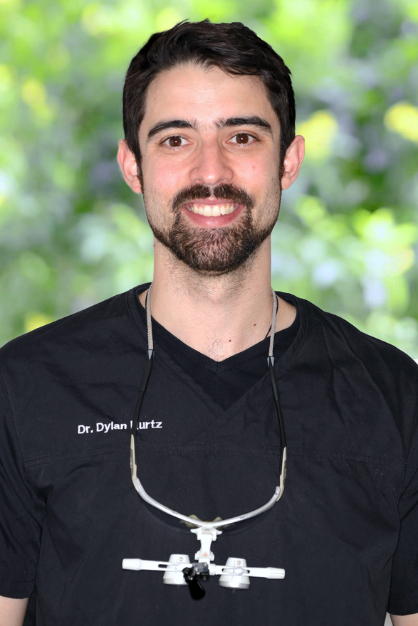 Meet the dentist