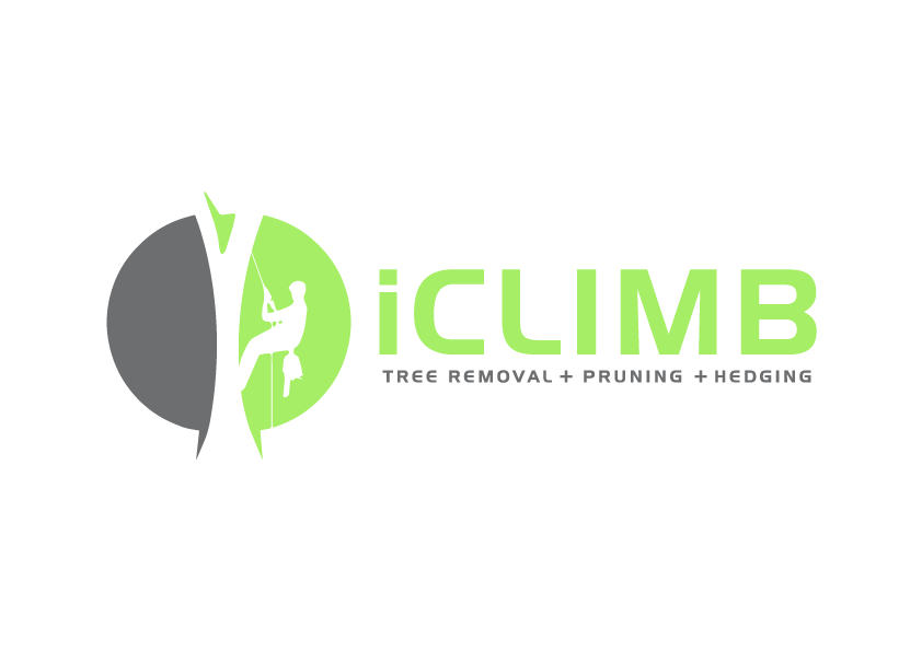 A logo for a tree removal and pruning company.