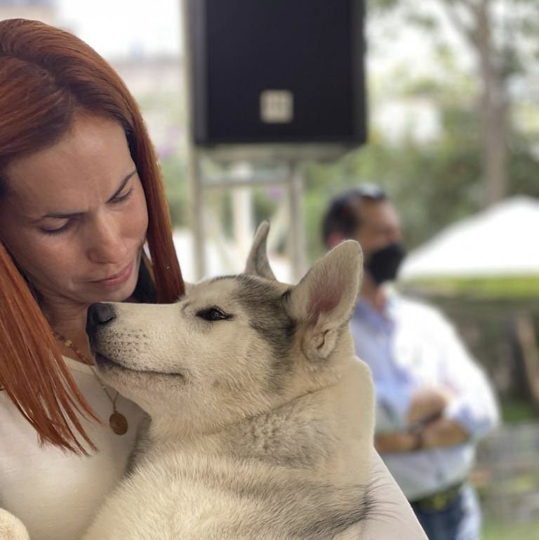 criadero de perros husky