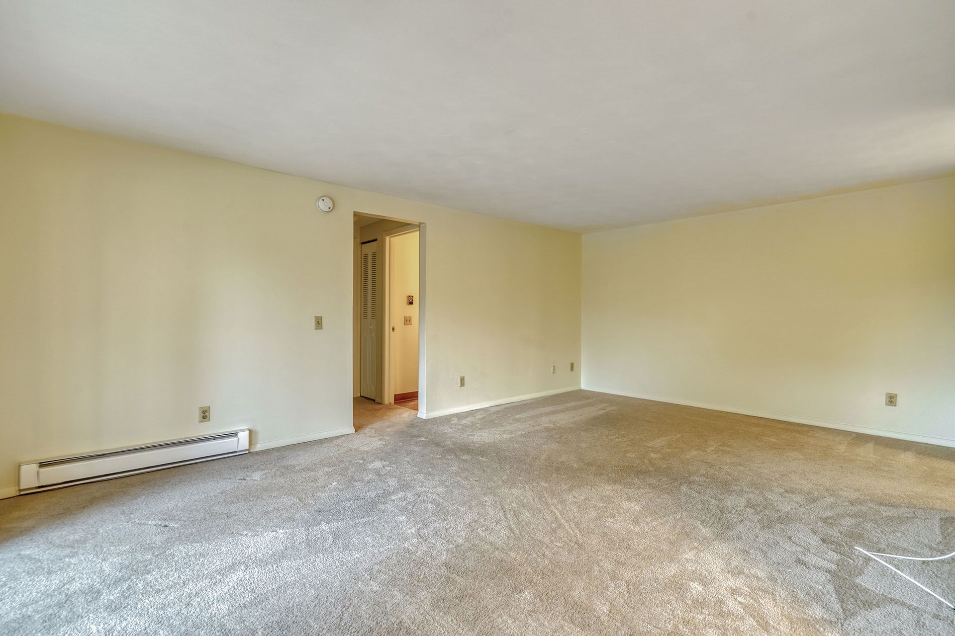 living room with carpet
