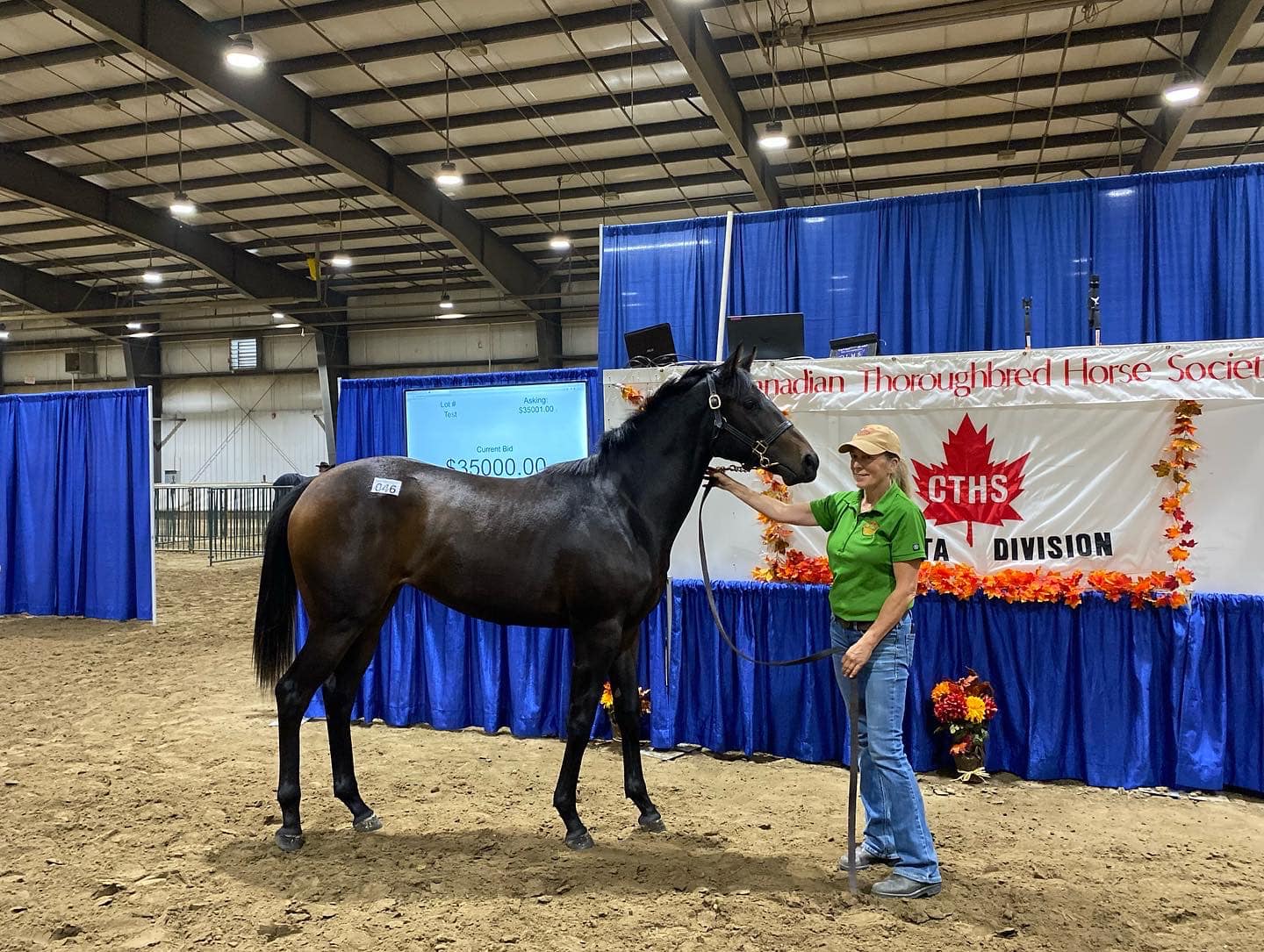 Top Sellers at the 2022 CTHS Alberta Thoroughbred Sale