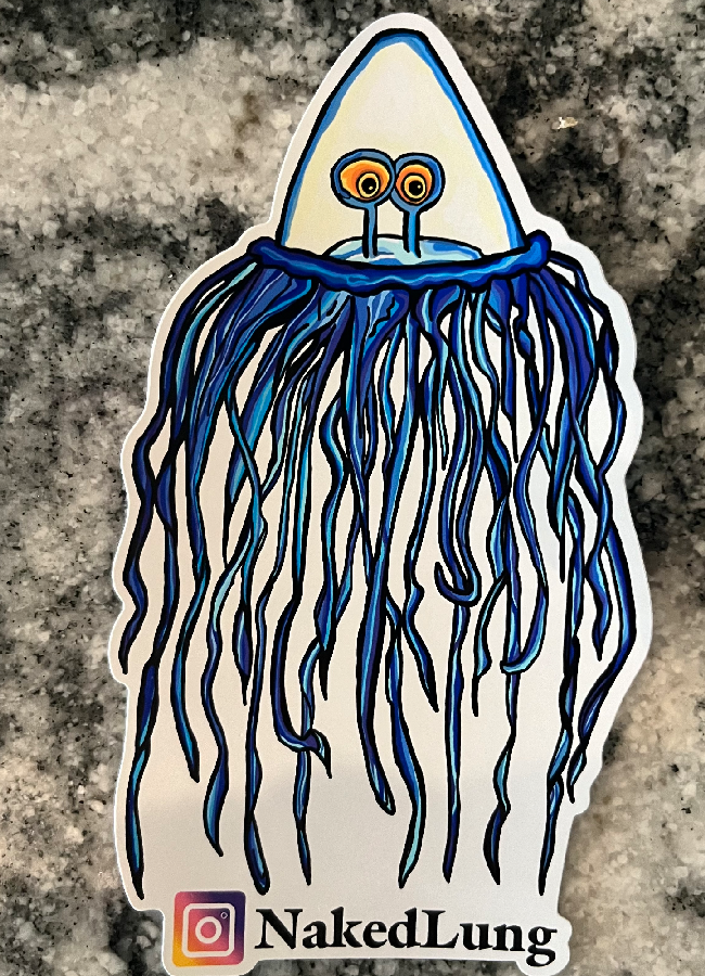 AquaLux – The Glowing Guardian of Secrets