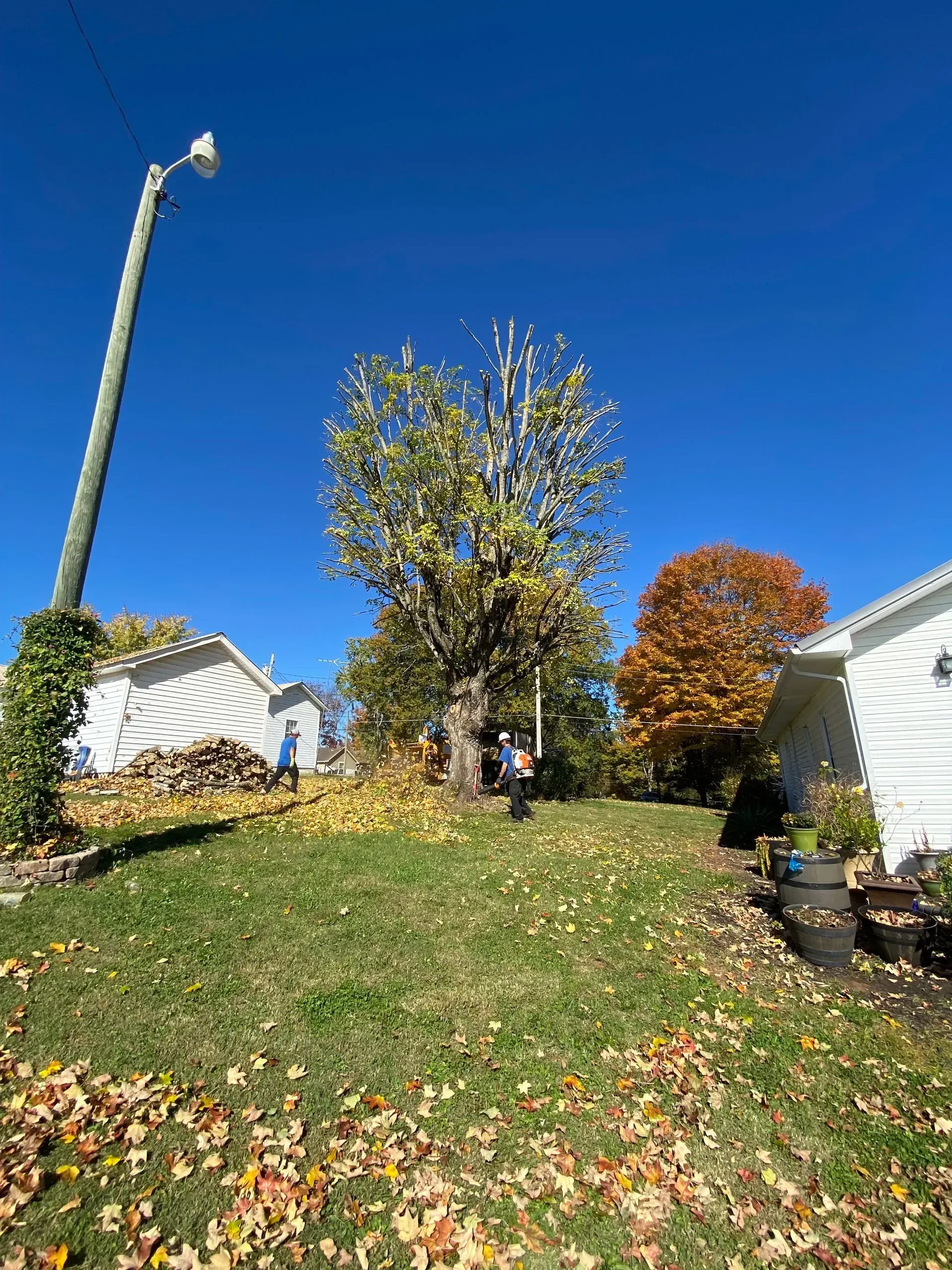 Autumn backyard with a grassy slope, two white houses, and a tall pole against a clear blue sky