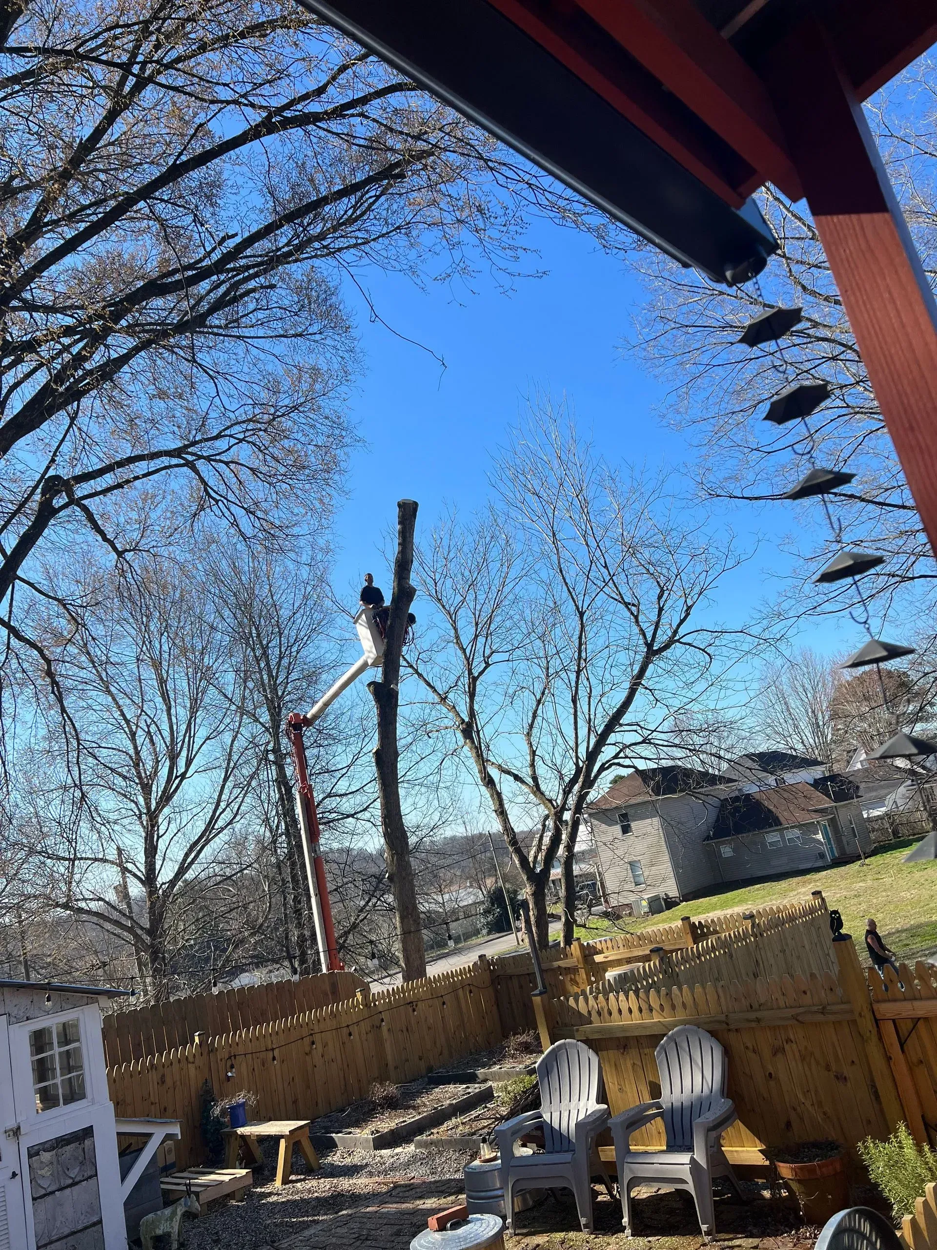Backyard patio with white chairs, wooden fence, leafless trees, and a clear blue sky
