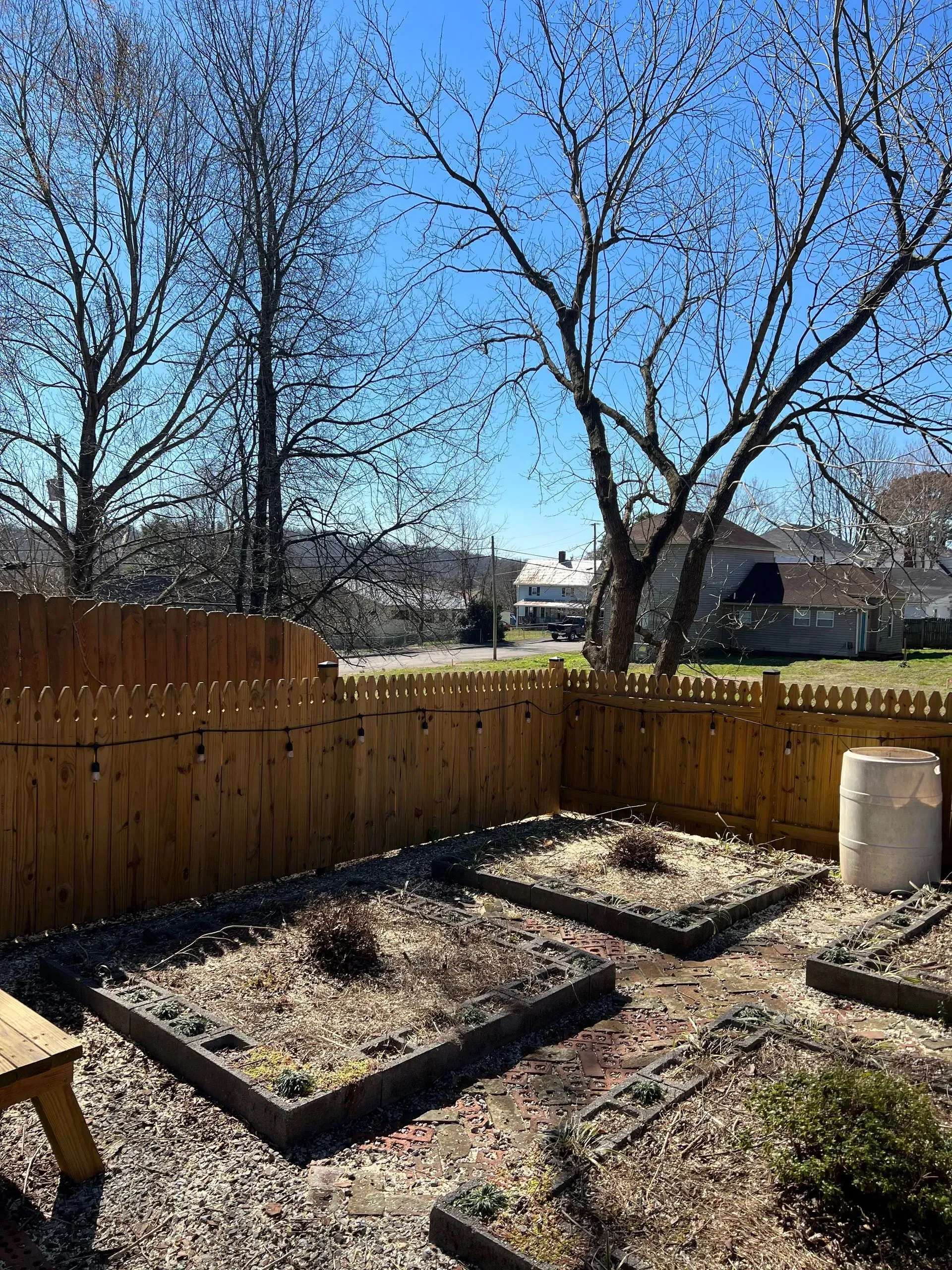 Backyard garden with raised beds, wooden fence, bare trees, and bright blue sky