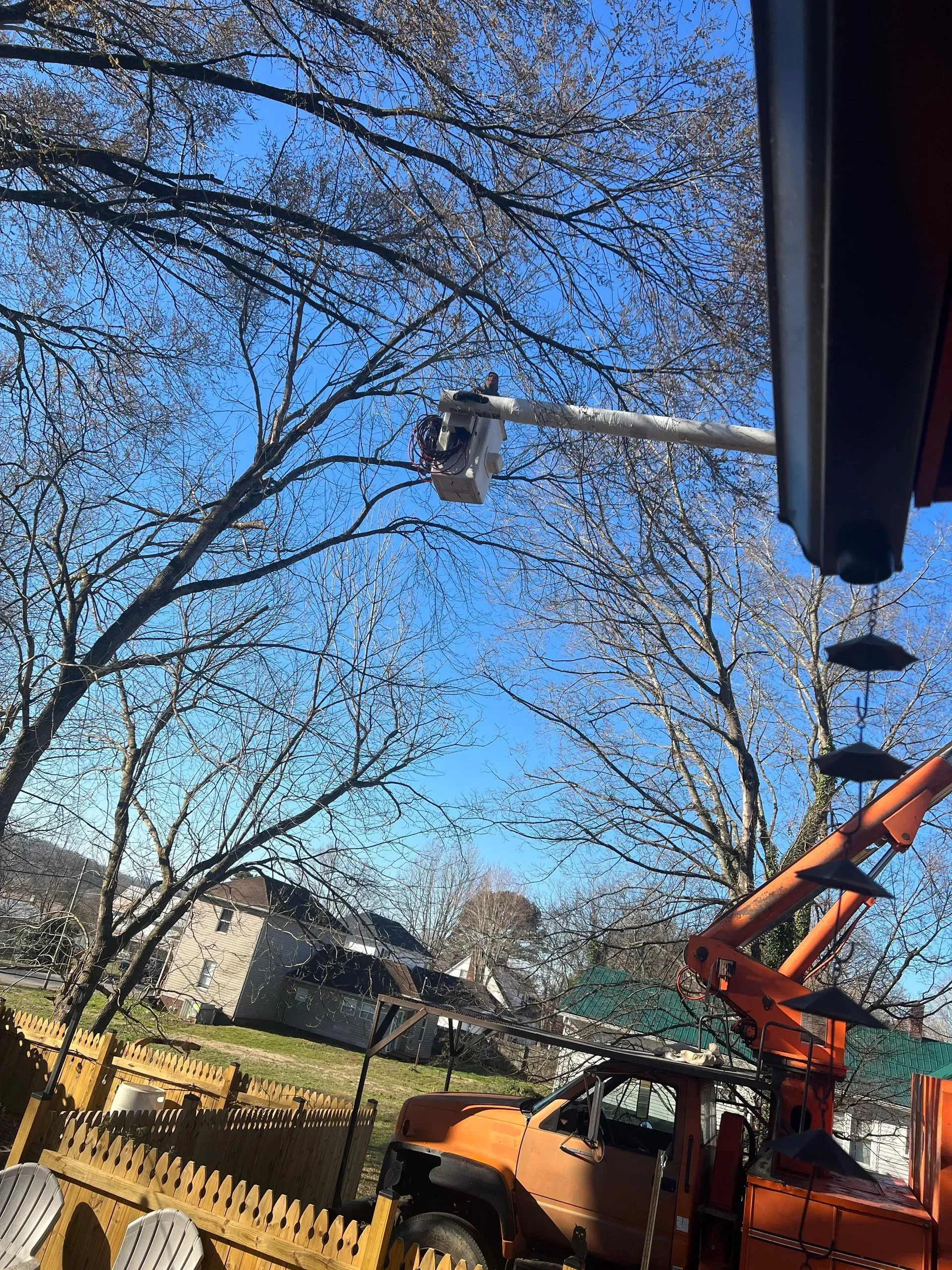 Orange utility truck with raised bucket pruning trees in a yard under a clear blue sky