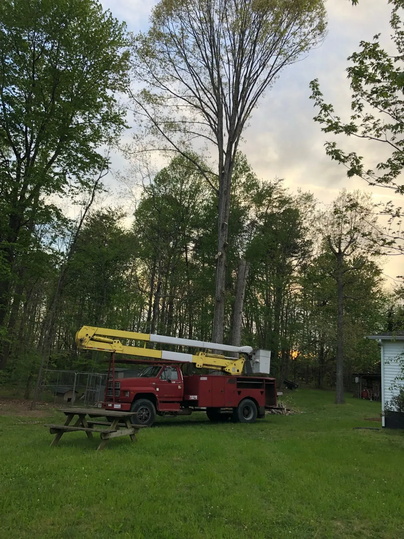 Red utility truck with ladder parked on grass beside trees at dusk