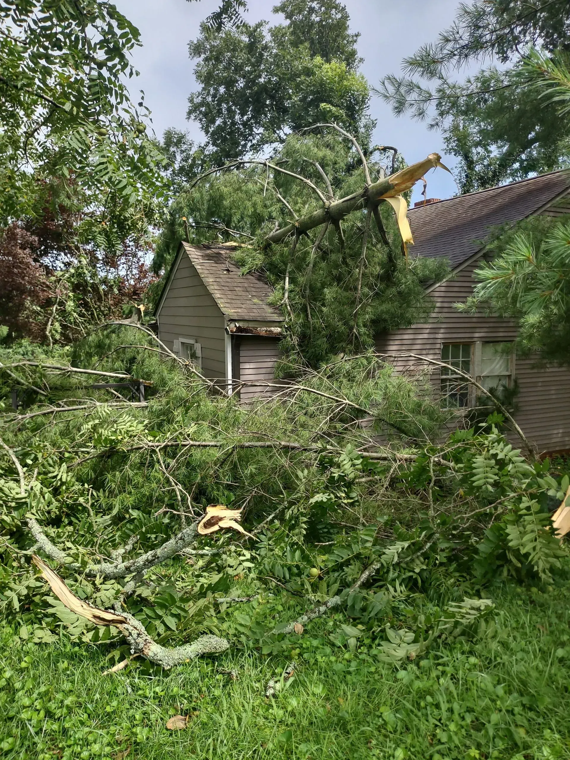 Storm-damaged yard with fallen tree limbs and debris beside a house and roof damage
