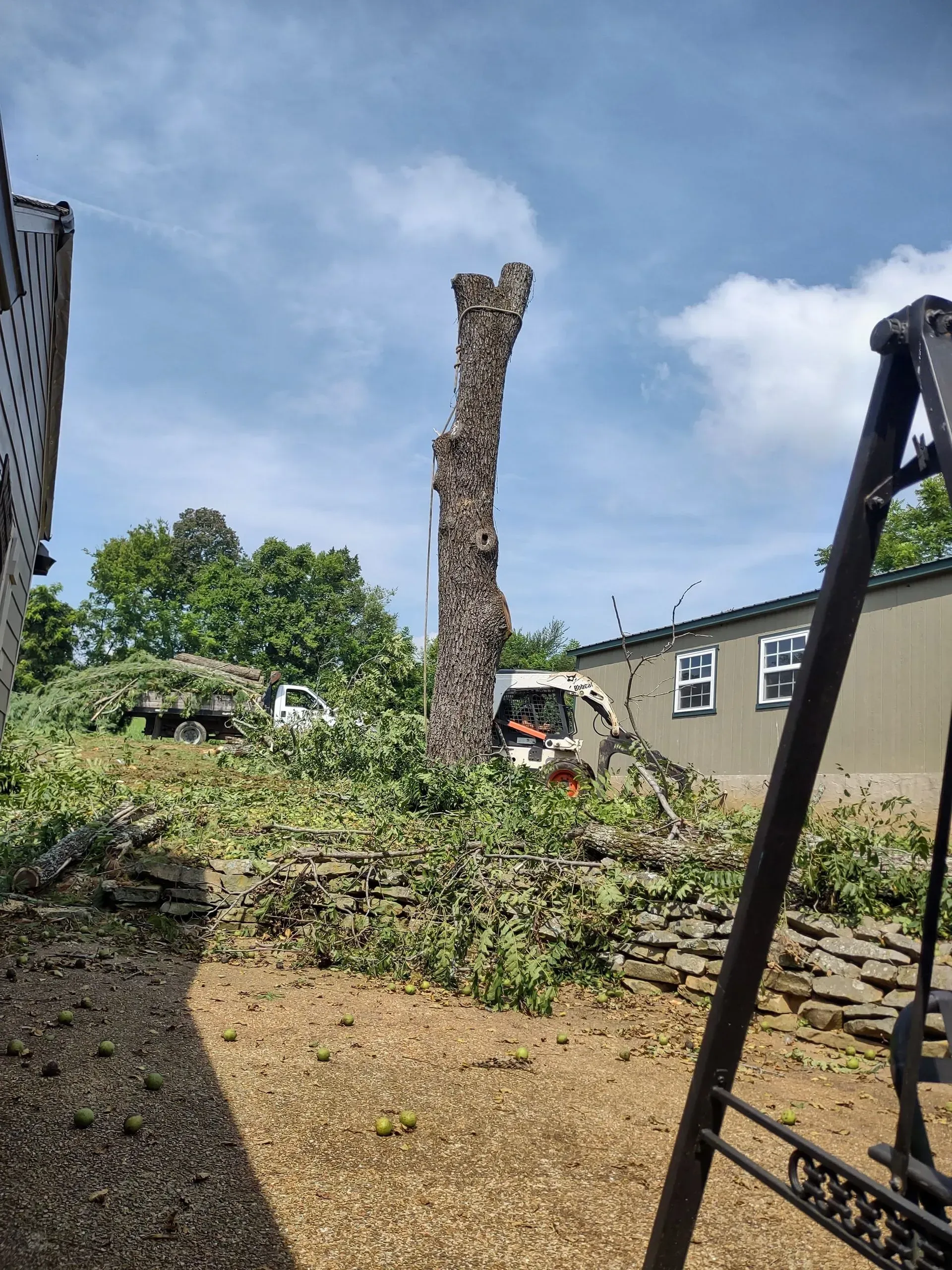 Backyard with a tall cut tree trunk, rubble and shrubs, beside a house under a cloudy sky