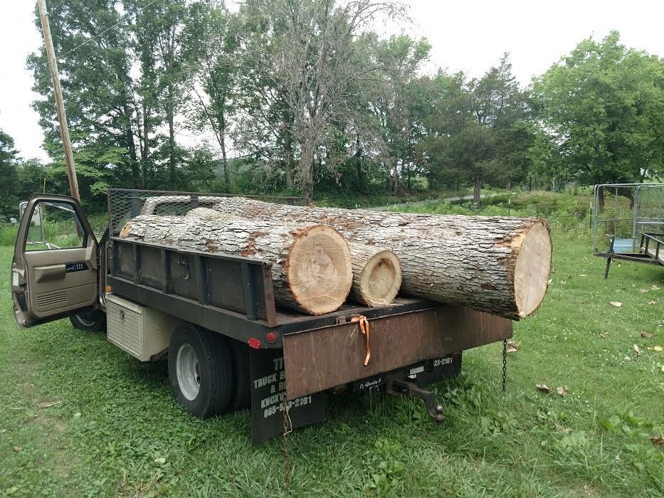 Pickup truck loaded with large cut logs in a grassy yard, with trees in the background