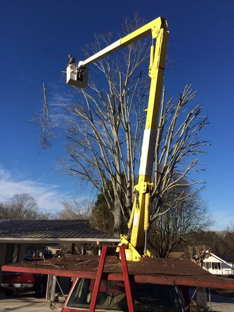 Yellow cherry picker lifting a person above red barn roofs under a clear blue sky