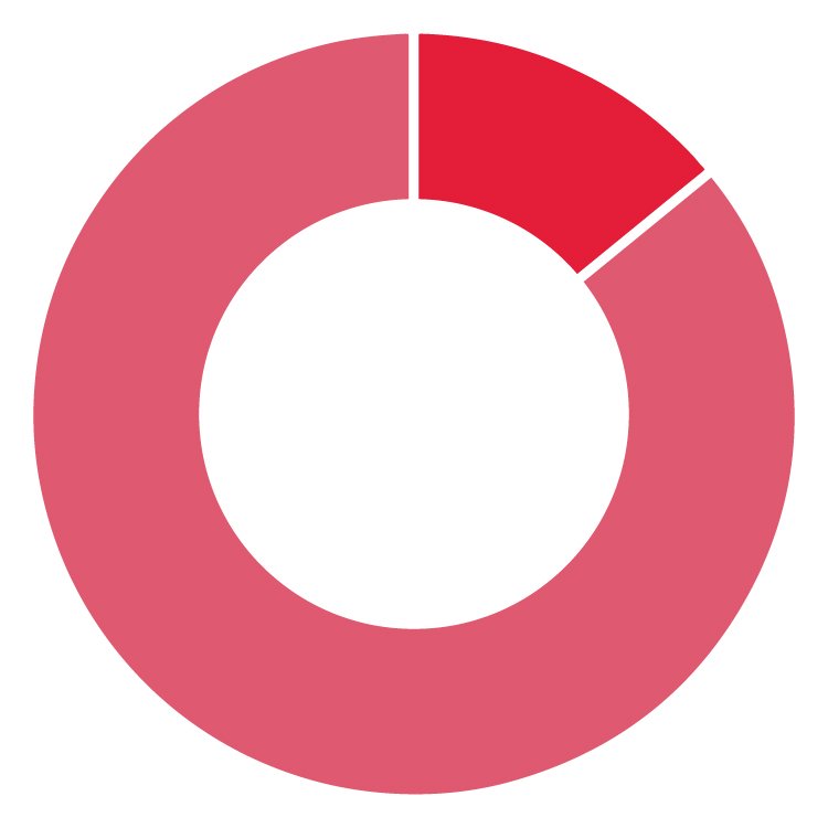 About GN Corporations