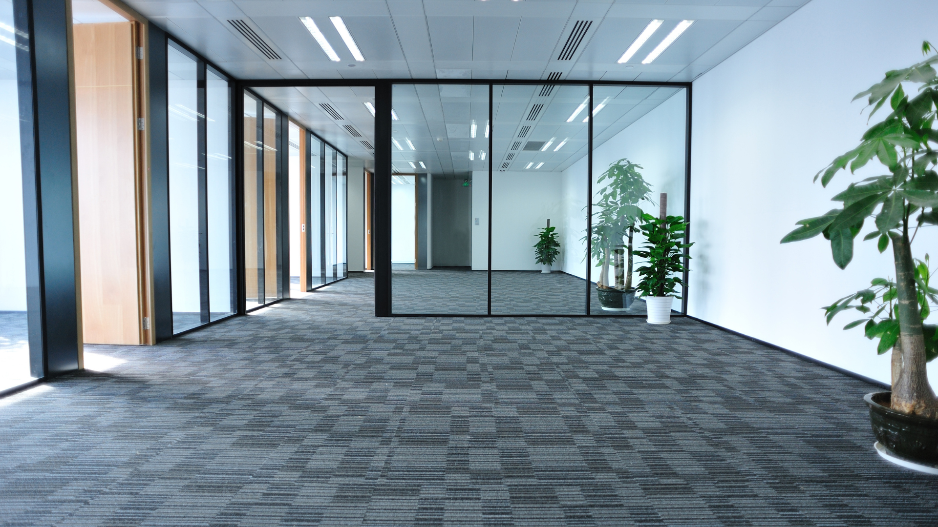 Select Glass and Windows Inc.