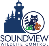 Soundview Wildlife Control logo with lighthouse, trees, and raccoon, snake, and squirrel icons