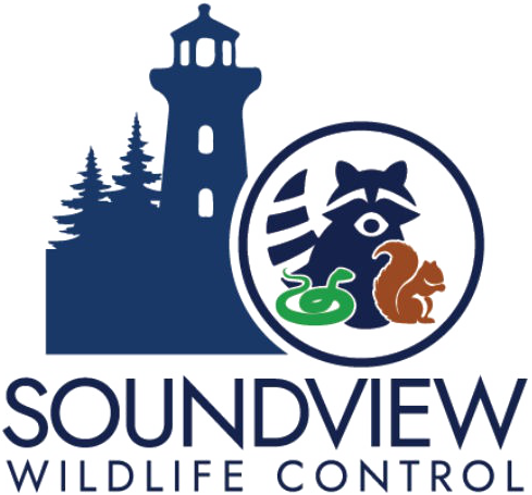 Soundview Wildlife Control logo with lighthouse, trees, and raccoon, snake, and squirrel icons