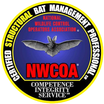 NWCOA logo with a bat on a blue background and black-and-yellow circular border.
